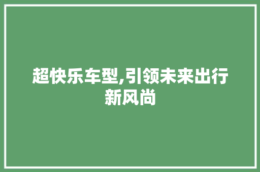 超快乐车型,引领未来出行新风尚