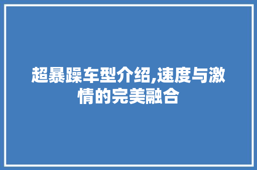 超暴躁车型介绍,速度与激情的完美融合