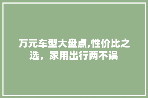 万元车型大盘点,性价比之选，家用出行两不误