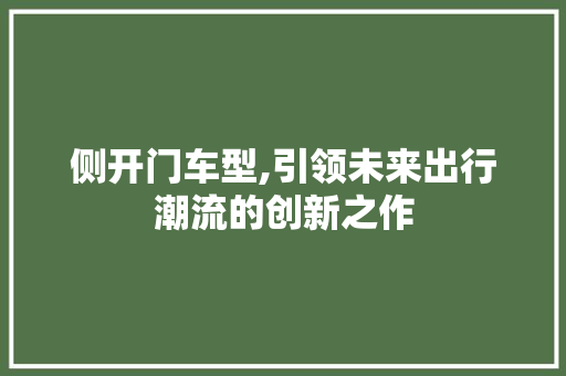 侧开门车型,引领未来出行潮流的创新之作