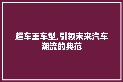超车王车型,引领未来汽车潮流的典范