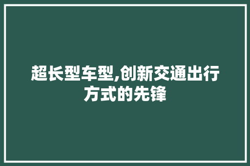 超长型车型,创新交通出行方式的先锋