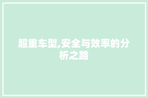 超重车型,安全与效率的分析之路