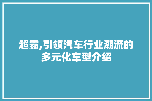 超霸,引领汽车行业潮流的多元化车型介绍