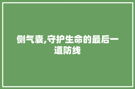 侧气囊,守护生命的最后一道防线