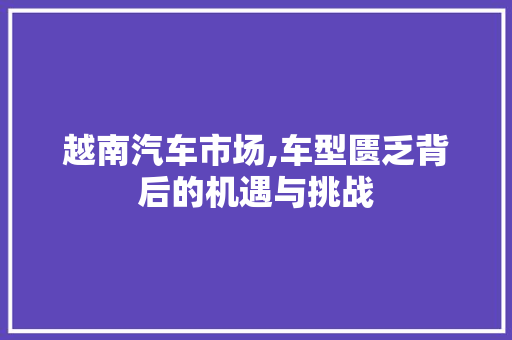 越南汽车市场,车型匮乏背后的机遇与挑战