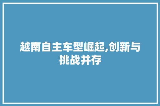 越南自主车型崛起,创新与挑战并存