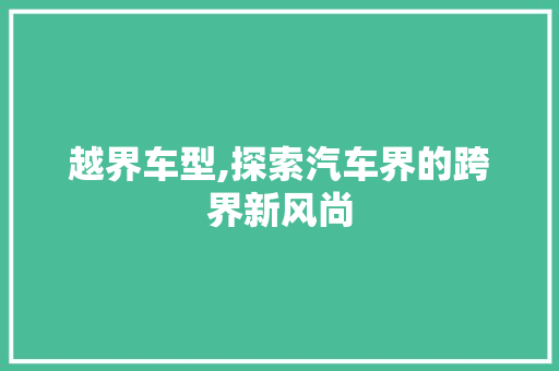 越界车型,探索汽车界的跨界新风尚
