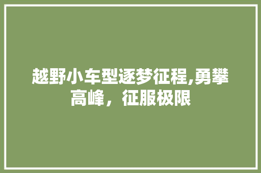 越野小车型逐梦征程,勇攀高峰，征服极限