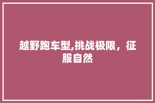 越野跑车型,挑战极限，征服自然