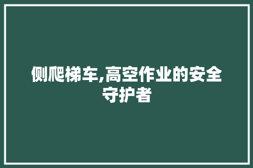 侧爬梯车,高空作业的安全守护者
