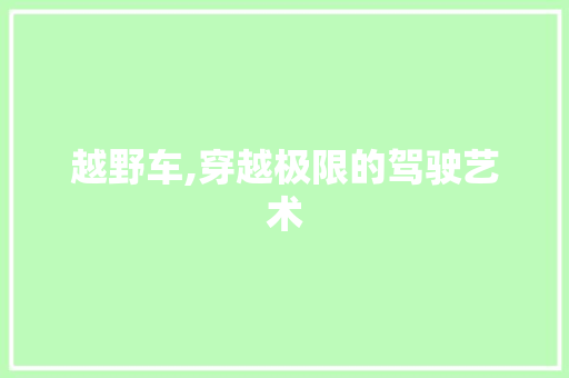 越野车,穿越极限的驾驶艺术