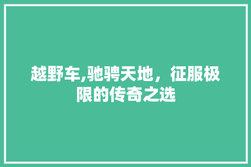 越野车,驰骋天地，征服极限的传奇之选