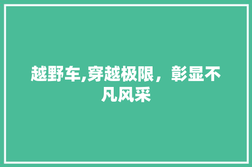 越野车,穿越极限，彰显不凡风采