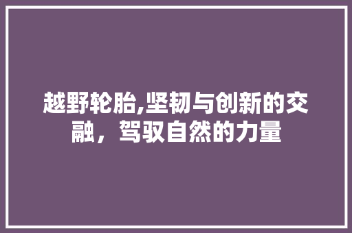 越野轮胎,坚韧与创新的交融，驾驭自然的力量