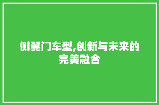侧翼门车型,创新与未来的完美融合 新款车型