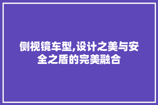 侧视镜车型,设计之美与安全之盾的完美融合