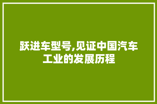 跃进车型号,见证中国汽车工业的发展历程