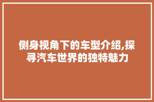 侧身视角下的车型介绍,探寻汽车世界的独特魅力