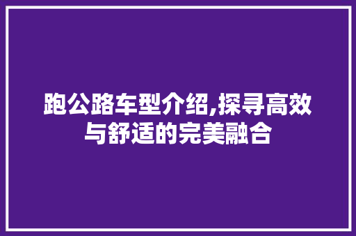跑公路车型介绍,探寻高效与舒适的完美融合
