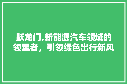 跃龙门,新能源汽车领域的领军者，引领绿色出行新风尚