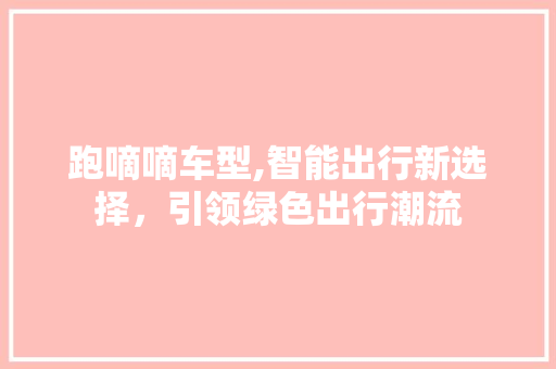 跑嘀嘀车型,智能出行新选择，引领绿色出行潮流