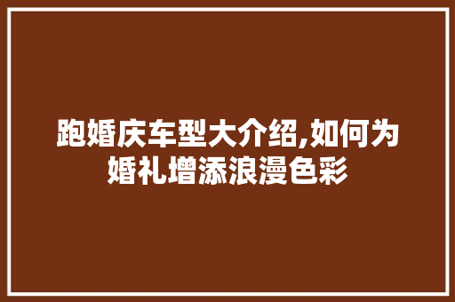 跑婚庆车型大介绍,如何为婚礼增添浪漫色彩