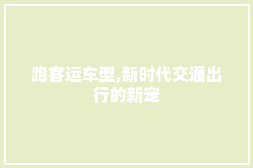 跑客运车型,新时代交通出行的新宠