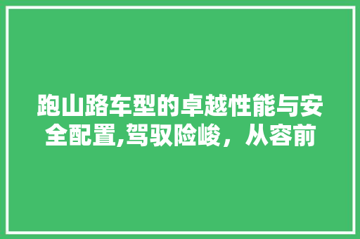 跑山路车型的卓越性能与安全配置,驾驭险峻，从容前行
