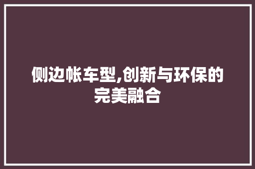 侧边帐车型,创新与环保的完美融合 车身配件