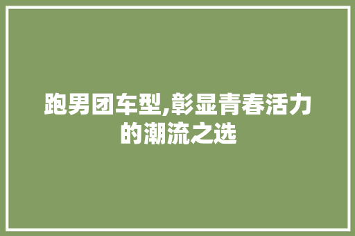 跑男团车型,彰显青春活力的潮流之选