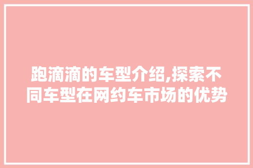 跑滴滴的车型介绍,探索不同车型在网约车市场的优势与挑战