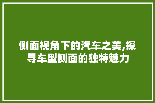 侧面视角下的汽车之美,探寻车型侧面的独特魅力
