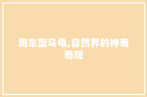 跑车型乌龟,自然界的神奇奇观