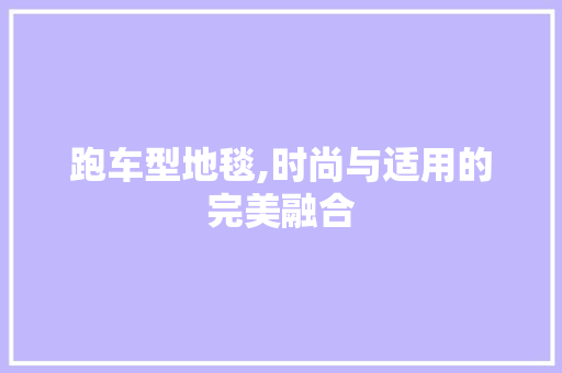 跑车型地毯,时尚与适用的完美融合
