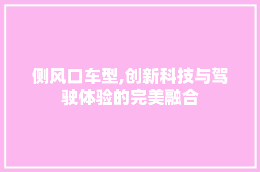 侧风口车型,创新科技与驾驶体验的完美融合