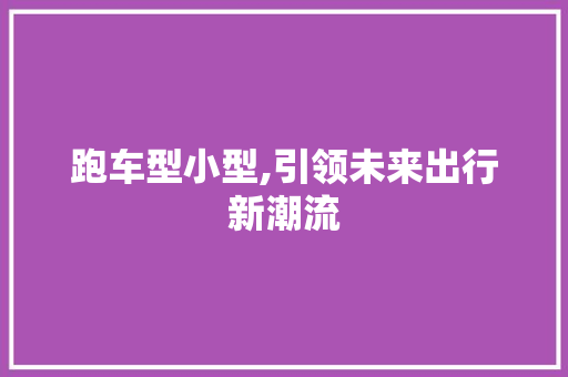 跑车型小型,引领未来出行新潮流
