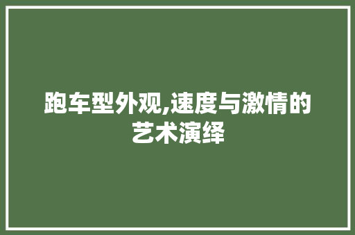 跑车型外观,速度与激情的艺术演绎