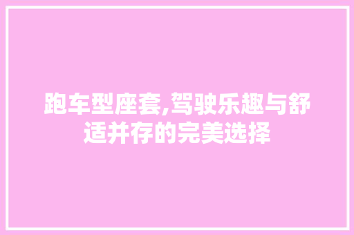 跑车型座套,驾驶乐趣与舒适并存的完美选择
