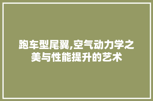 跑车型尾翼,空气动力学之美与性能提升的艺术
