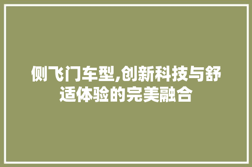 侧飞门车型,创新科技与舒适体验的完美融合