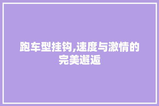 跑车型挂钩,速度与激情的完美邂逅