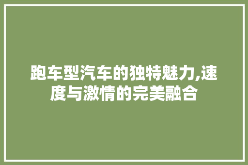 跑车型汽车的独特魅力,速度与激情的完美融合