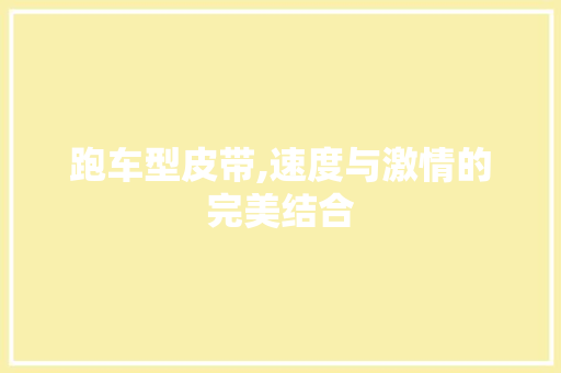 跑车型皮带,速度与激情的完美结合