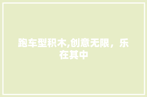 跑车型积木,创意无限，乐在其中