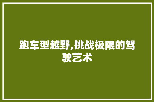 跑车型越野,挑战极限的驾驶艺术
