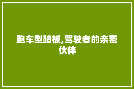 跑车型踏板,驾驶者的亲密伙伴
