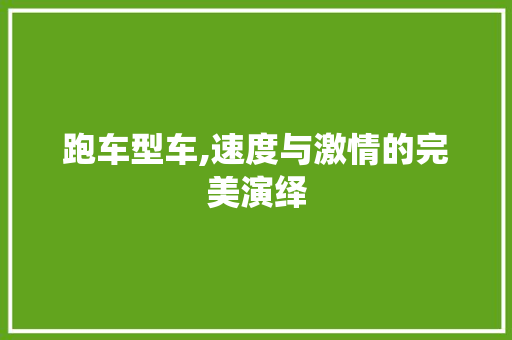跑车型车,速度与激情的完美演绎