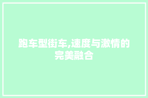 跑车型街车,速度与激情的完美融合