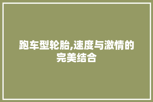 跑车型轮胎,速度与激情的完美结合